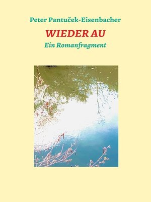 cover image of Wieder Au